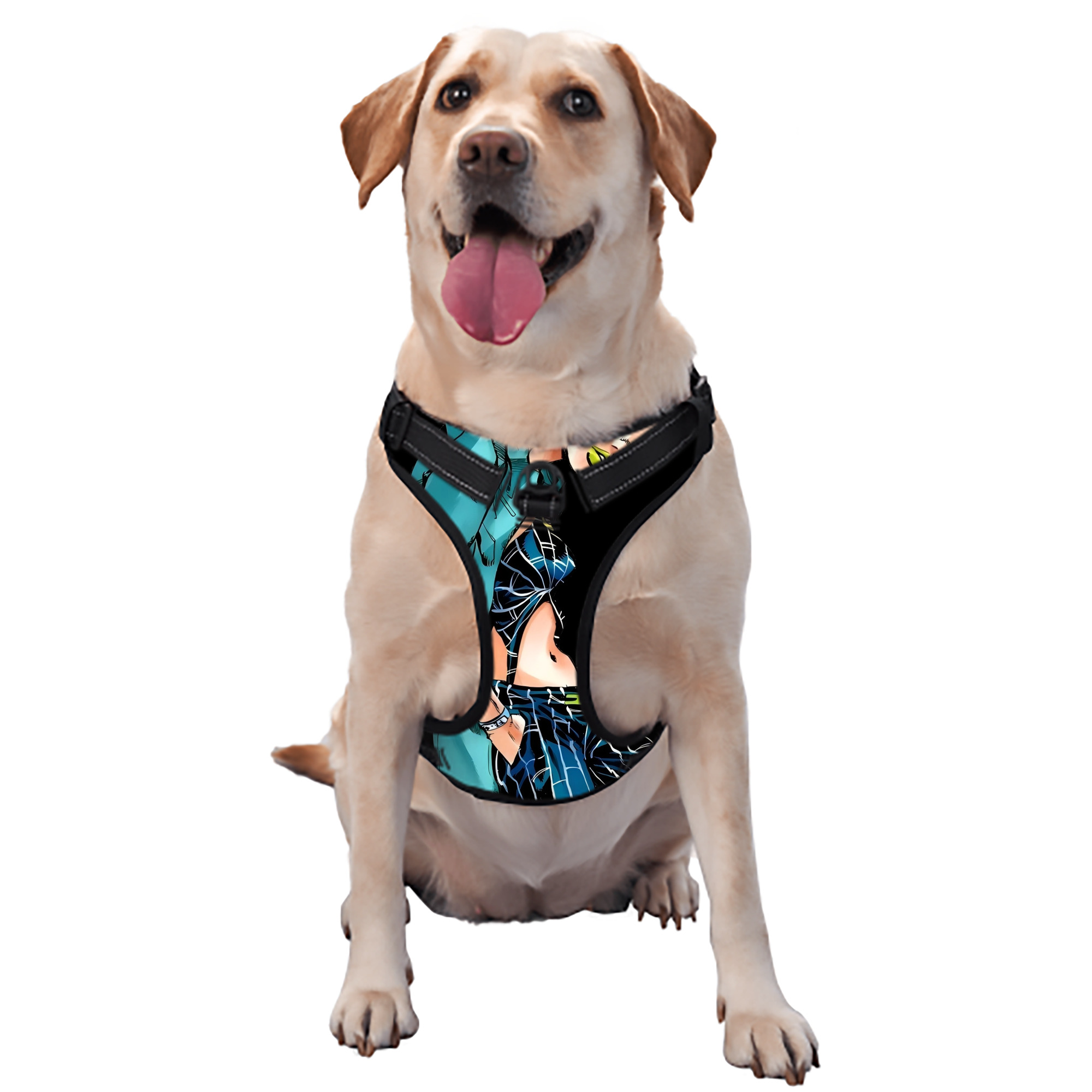 （画像用） "ジョジョの奇妙な冒険 くうじょう ジョリーン JoJo's Bizarre Adventure Jolyne Cujoh " ペット用ハーネス